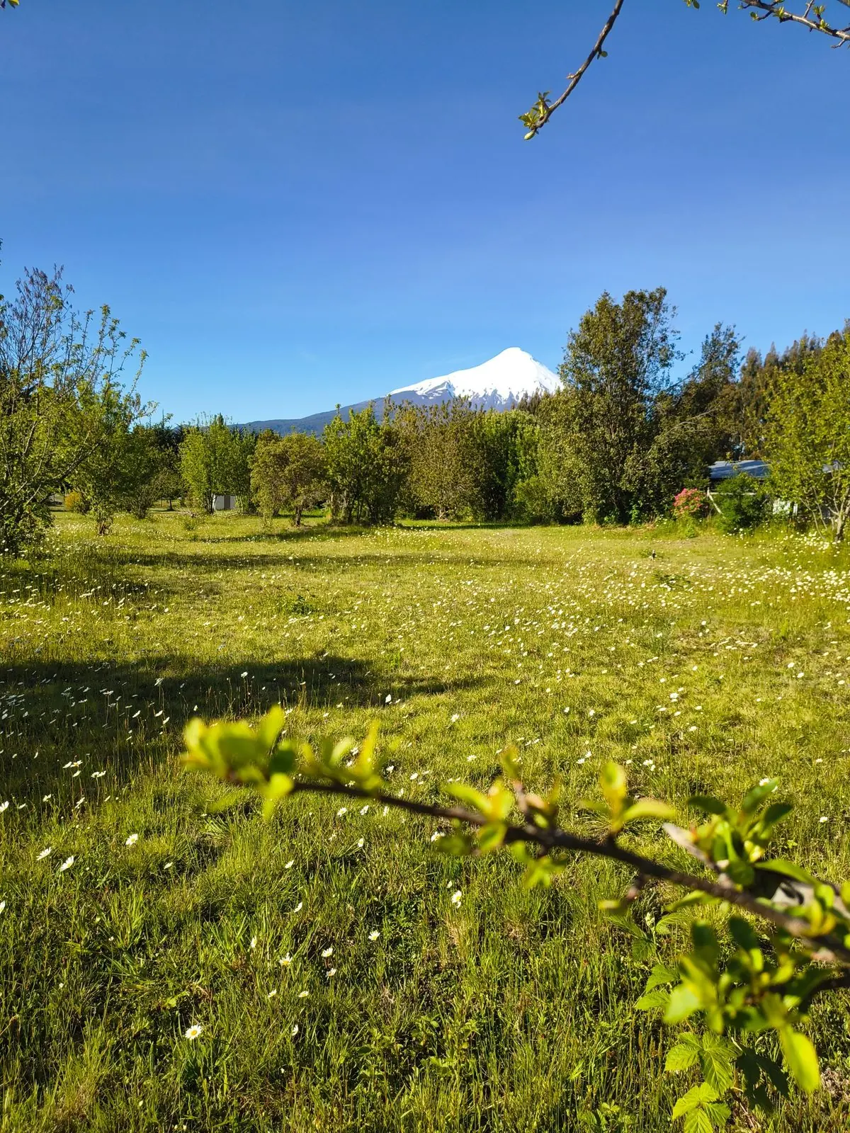 Pradera con vista al volcán