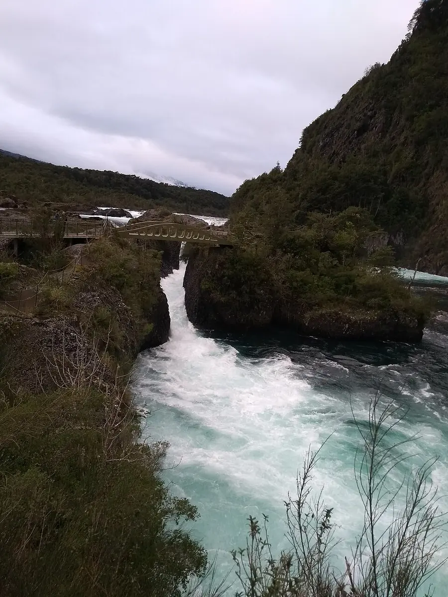 Senderos y cauce del río Petrohué en el Parque Nacional Vicente Pérez Rosales